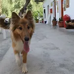 Tatil parkı Village Valle D'oro San Menaio