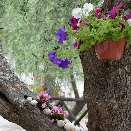 Village Valle D'oro Πάρκο διακοπών *