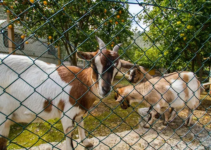 Village Valle D'oro San Menaio