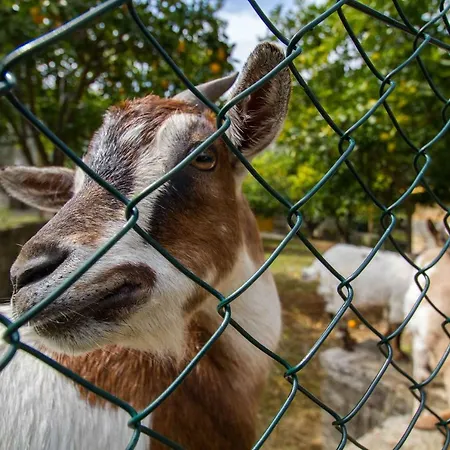 Feriepark Village Valle D'oro *