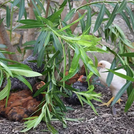 Valle D'oro Parco vacanze