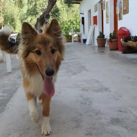 Parco vacanze Valle D'oro San Menaio