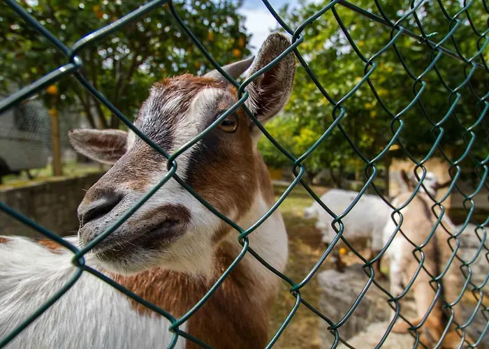 פארק נופש Village Valle D'oro *