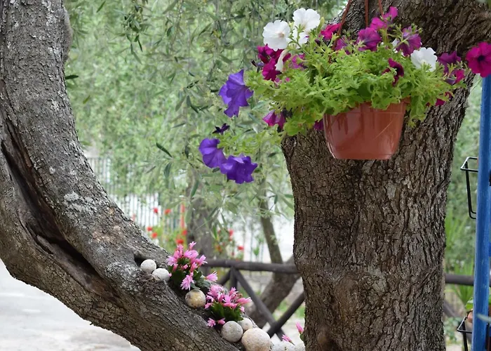 Village Valle D'oro פארק נופש *