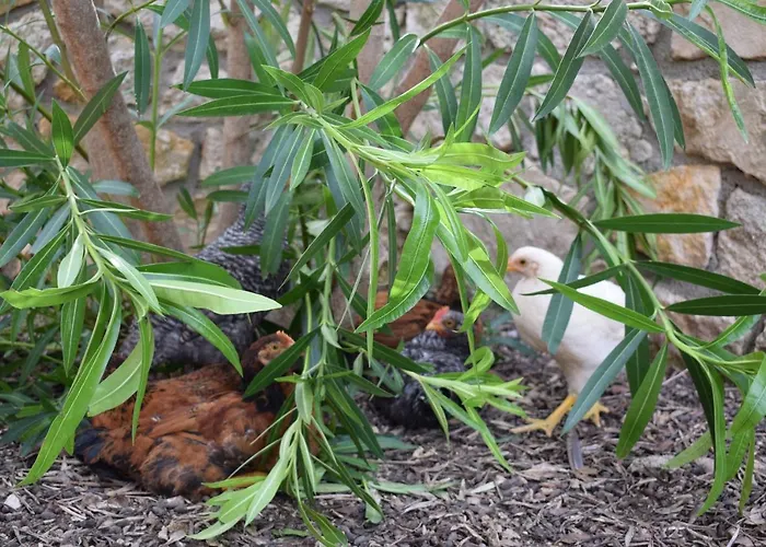 Village Valle D'oro פארק נופש